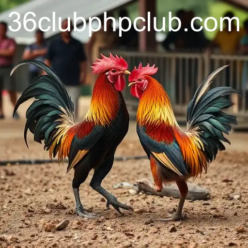 Exploring the World of Sabong Games: A Cultural Phenomenon